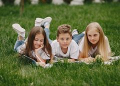 norton field guide to writing pdf