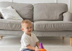 erik erikson developmental stages pdf