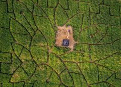 trigonometry maze answer key pdf