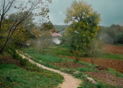 far from the madding crowd pdf